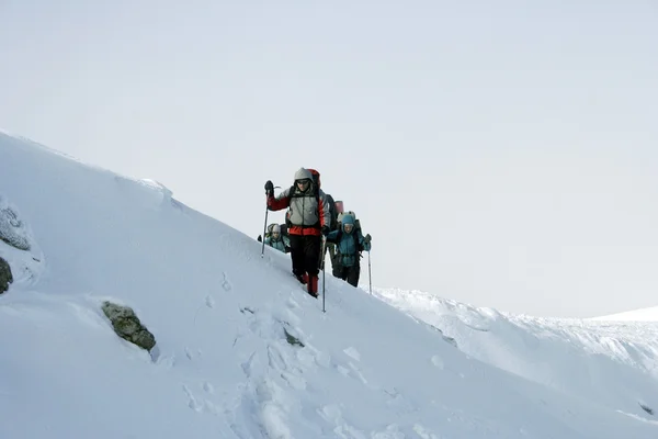 Caminata de invierno . — Foto de Stock