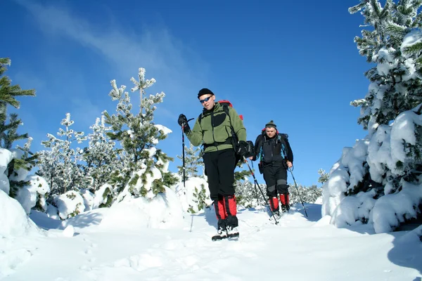 Escursione invernale . — Foto Stock