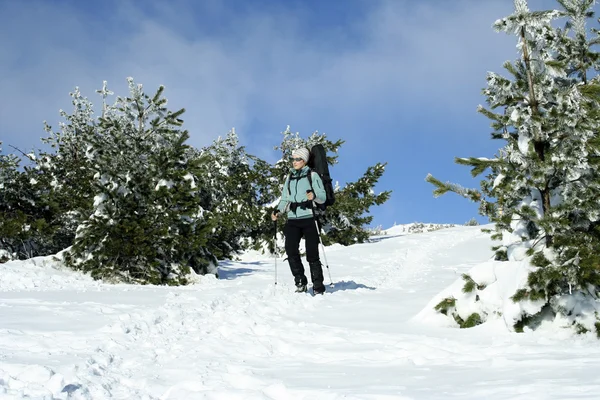 Caminata de invierno . — Foto de Stock