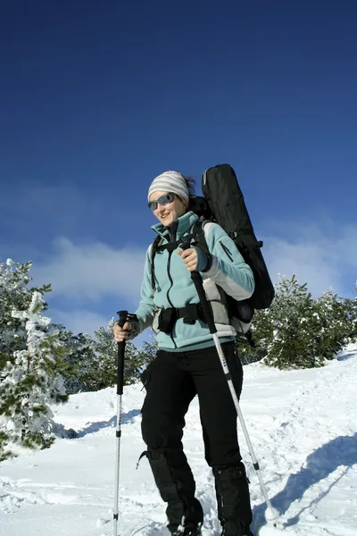 Caminhada de inverno . — Fotografia de Stock