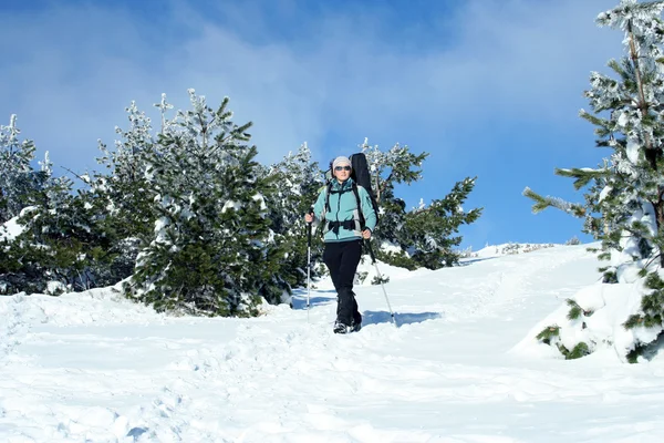 Winter wandeling. — Stockfoto