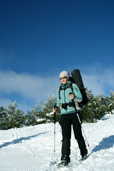 Caminhada de inverno . — Fotografia de Stock