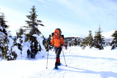 Hiker in winter mountains snowshoeing clipart