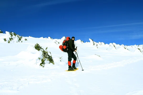 Caminante en invierno montañas raquetas de nieve — Foto de Stock