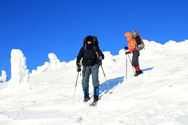 Πεζοπόρος στα βουνά χειμώνα snowshoeing — Φωτογραφία Αρχείου