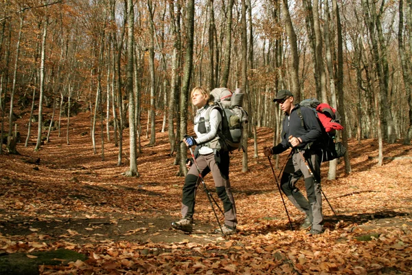 parkta sırt çantaları ile genç bir çift. Sonbahar.