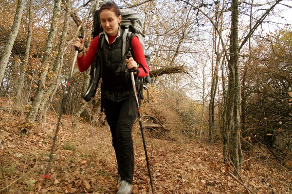 Giovane coppia con zaini nel parco. Caduta . — Foto Stock