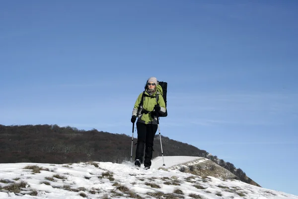 Hiker walks in snow forest — Stock Photo, Image