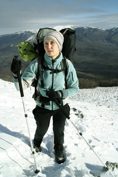 Hiker walks in snow forest — Stock Photo, Image