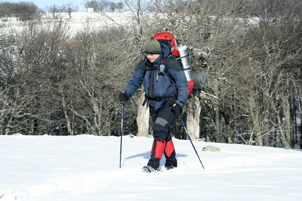 Caminhante caminha na floresta de neve — Fotografia de Stock