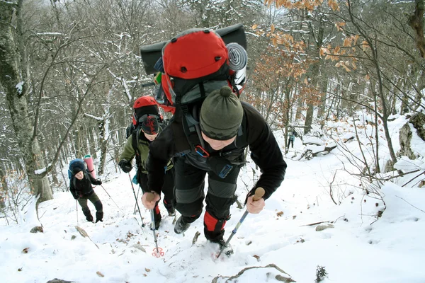 Escursioni nella foresta di neve — Foto Stock