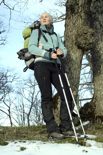 Caminatas en bosque de nieve — Foto de Stock