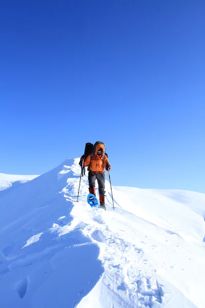 Winter hike. — Stock Photo, Image