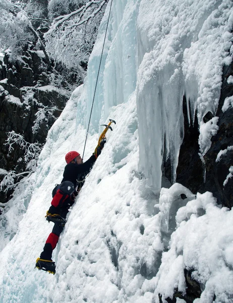 Homem escalando cascata congelada — Fotografia de Stock