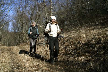 sonbahar ormanda yürüyüş.