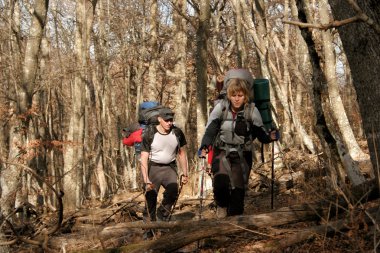 sonbahar ormanda yürüyüş.