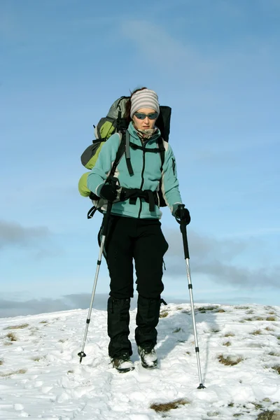 Hiker walks in snow forest — Stock Photo, Image