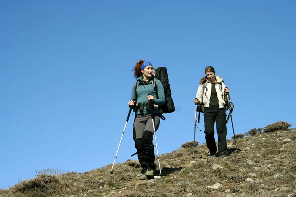 Passeggiata nei boschi autunnali . — Foto Stock