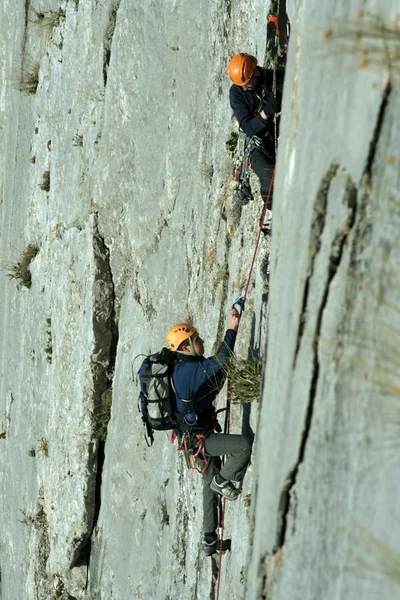 Escalada. — Foto de Stock