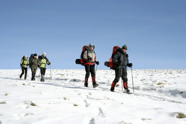 Caminhada de inverno . — Fotografia de Stock