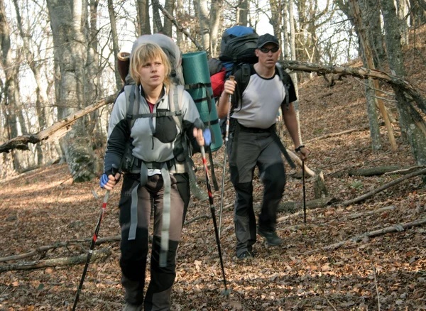 Passeggiata nei boschi autunnali . — Foto Stock