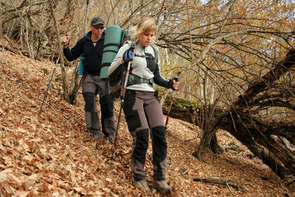 Wandelen in de herfst woods. — Stockfoto