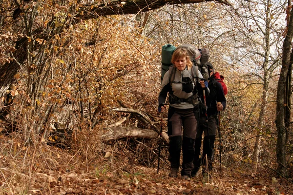 Wandelen in de herfst woods. — Stockfoto