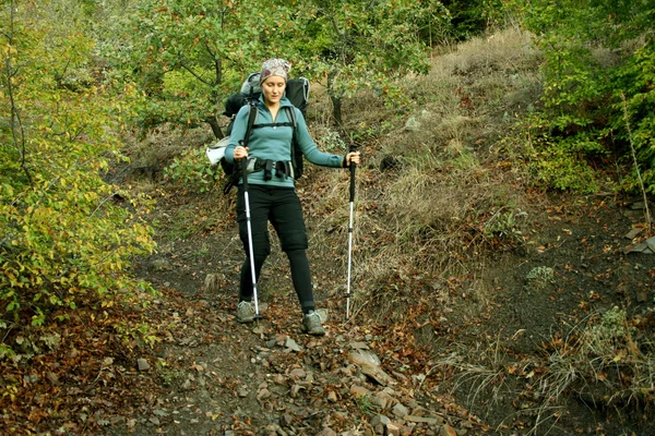 Hiker walks in the park — Stock Photo, Image