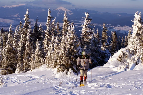 Caminata de invierno . — Foto de Stock