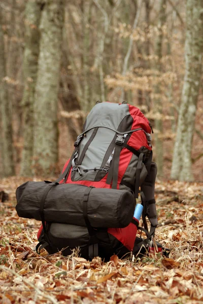 Mochila nas folhas . — Fotografia de Stock