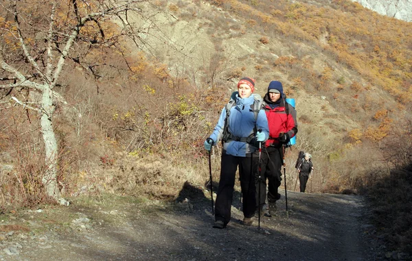 Gaan voor een wandeling voor een herfst Krim. — Stockfoto