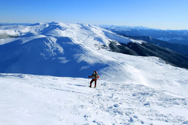 Πεζοπόρος στα βουνά χειμώνα snowshoeing — Φωτογραφία Αρχείου