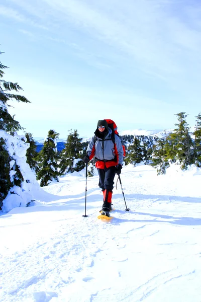 Winter wandeling op sneeuwschoenen. — Stockfoto