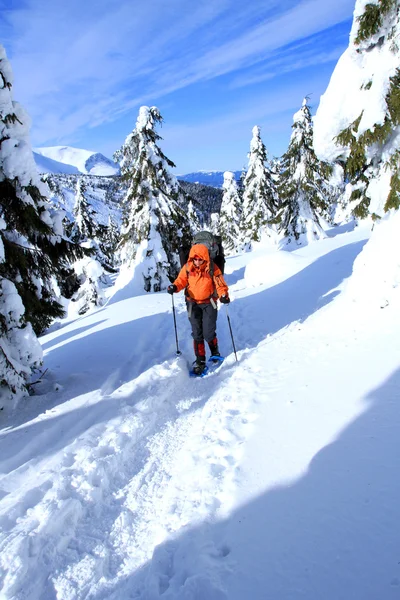 Caminata de invierno en raquetas de nieve . — Foto de Stock