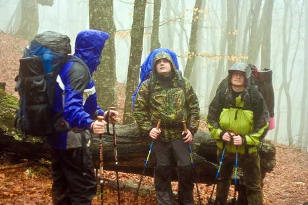 Escursionista in montagna invernale ciaspolata — Foto Stock