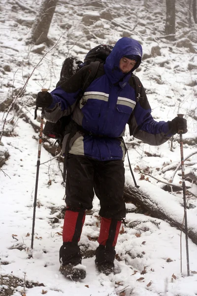 Hiker in winter mountains snowshoeing — Stock Photo, Image