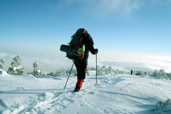 Escursionista in montagna invernale ciaspolata — Foto Stock