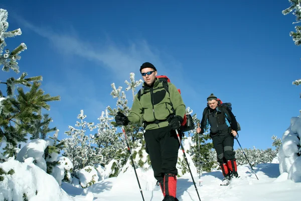 ハイカー スノーシューイング冬山中 — ストック写真