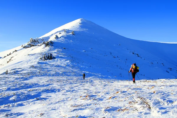 Caminhadas de inverno em sapatos de neve . — Fotografia de Stock