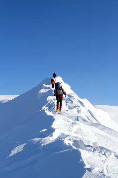 Winterwandelen in sneeuwschoenen. — Stockfoto