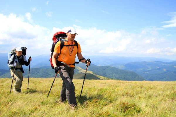 Zomerwandelingen in de bergen. — Stockfoto