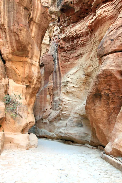 Petra, ville de roche perdue de Jordanie . — Photo