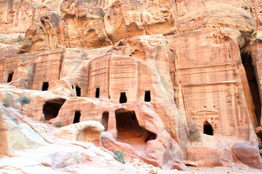 ahşap kesme tahtası üzerinde dal taze nane.