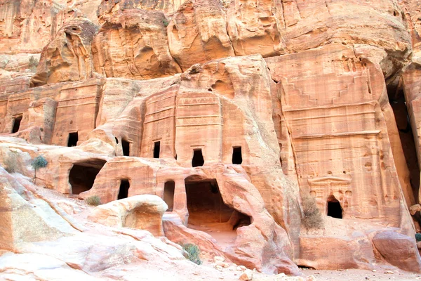 ahşap kesme tahtası üzerinde dal taze nane.