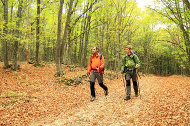 sonbahar yürüyüş.