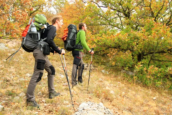 Herfstwandeling. — Stockfoto