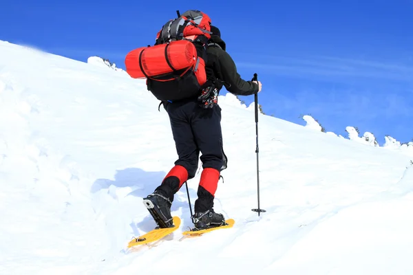 Winterwandelen in sneeuwschoenen. — Stockfoto