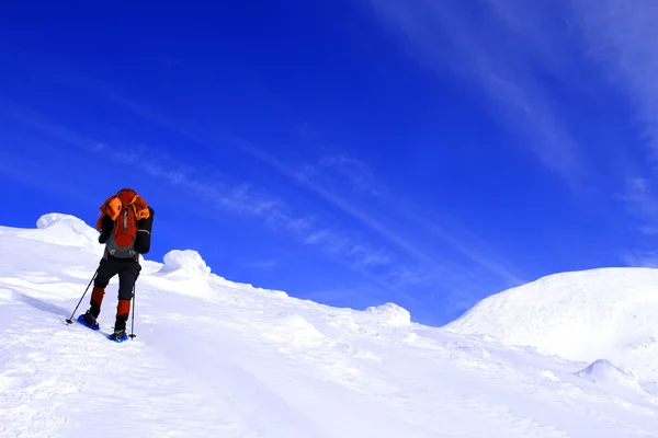 Winterwandelen in sneeuwschoenen. — Stockfoto