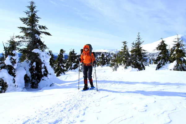 Winterwandelen in sneeuwschoenen. — Stockfoto