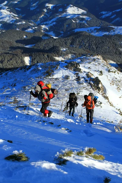 Vintern vandring i snöskor. — Stockfoto